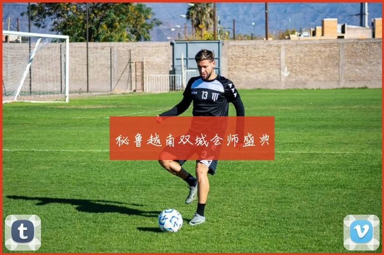 秘鲁越南双城会师盛典