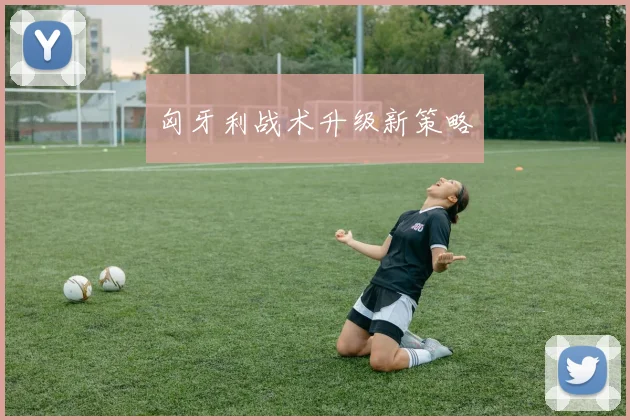 匈牙利战术升级新策略