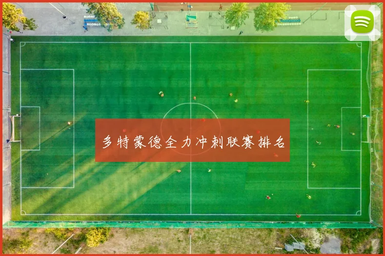 多特蒙德全力冲刺联赛排名