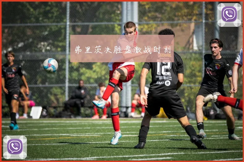 弗里茨决胜盘激战时刻