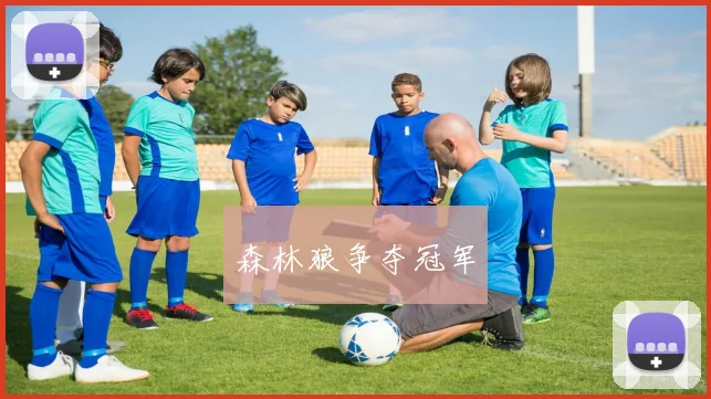 森林狼争夺冠军