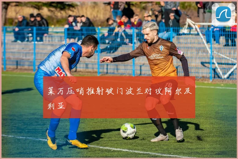 莱万压哨推射破门波兰对攻阿尔及利亚