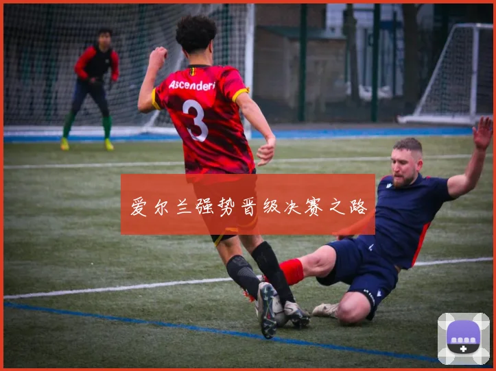 爱尔兰强势晋级决赛之路