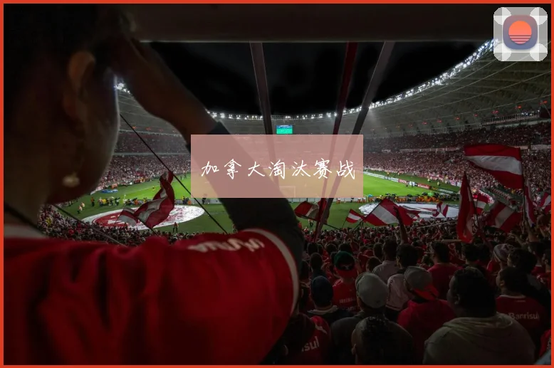 加拿大淘汰赛战