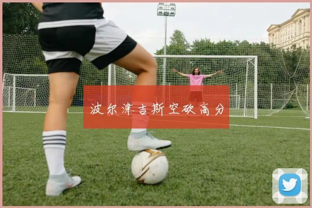 波尔津吉斯空砍高分
