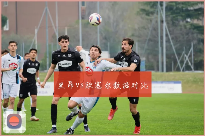 里昂vs欧塞尔数据对比