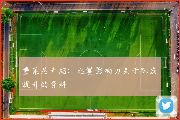 费莱尼介绍：比赛影响力关于队友提升的资料